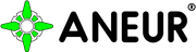 ANEUR